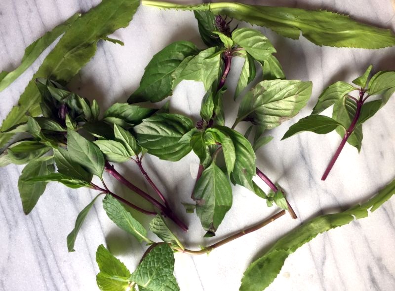 thai basil, culantro, mint for pho