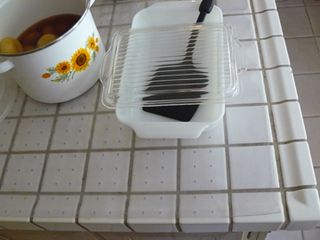 Mom-plastic-on-counter