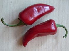 Fresno chiles