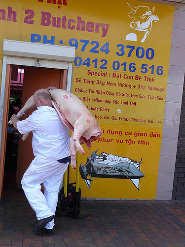 image from www.flickr.com