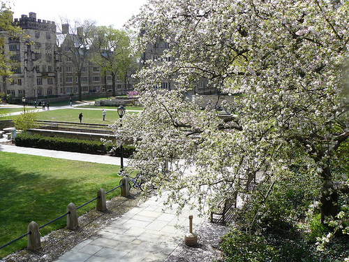 View of Yale outside my guest suite window