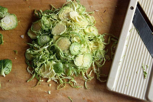 image from www.flickr.com