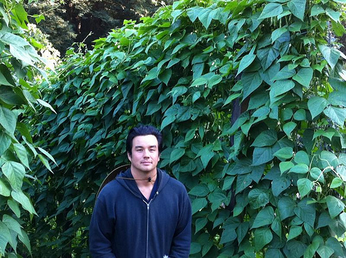 image from www.flickr.com