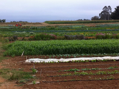 image from www.flickr.com