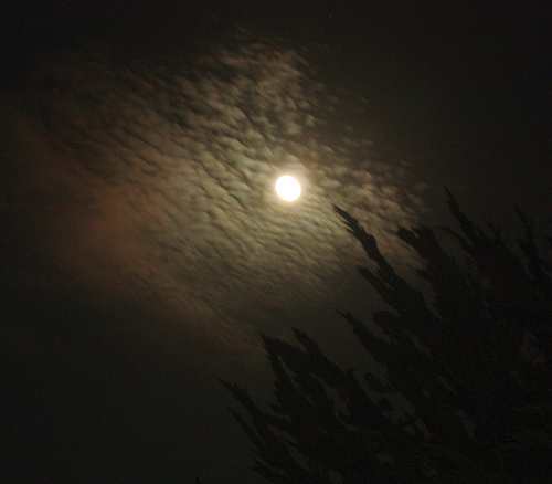 image from www.flickr.com