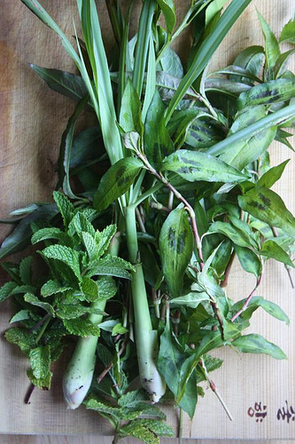 image from www.flickr.com image from www.flickr.com