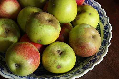 image from www.flickr.com