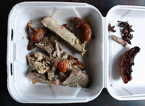 duck bones and bits duck bones and bits