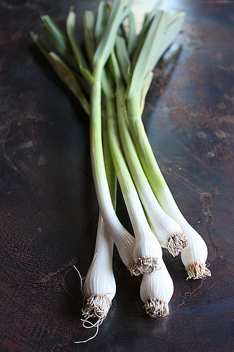 image from www.flickr.com