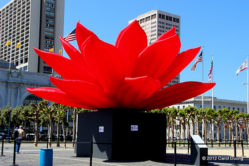 2012-AHSC-Lotus-by Carol Duong