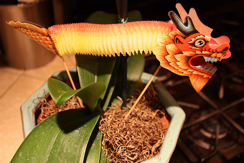 image from www.flickr.com