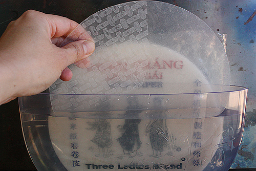 Using Mr. Spring Roll