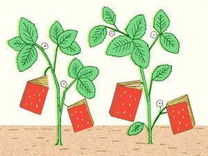 NPR-2012-summer-cookbooks-picks