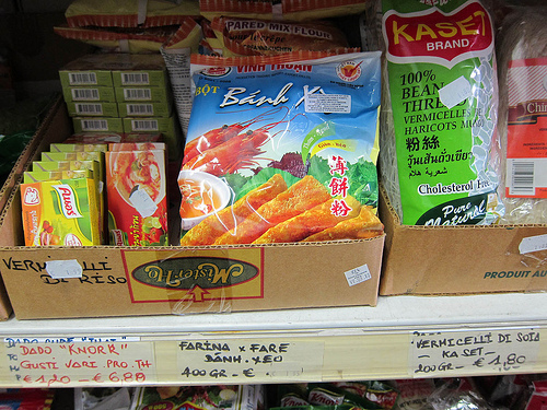 Viet-Italian by Amie Thao