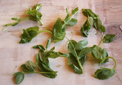 Pea tips
