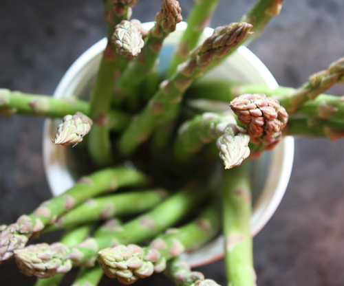 Spring-2013-asparagus