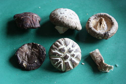 Dried-shiitake mushroom