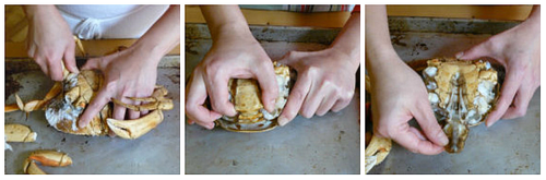 How to clean crab 1