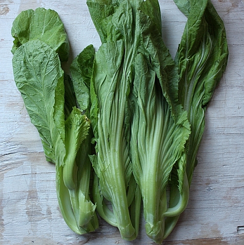 Chinese-mustard-greens-small-gai-choi