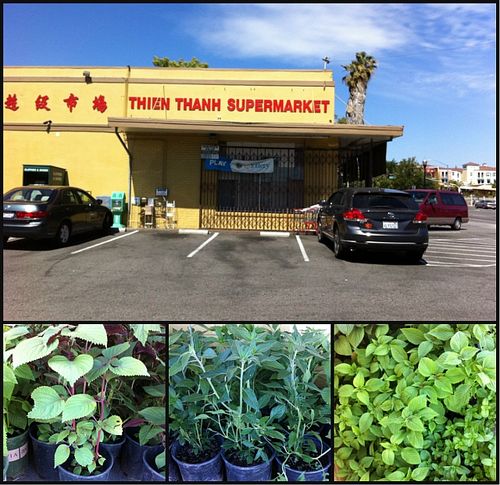 Viet-market-herb-collage