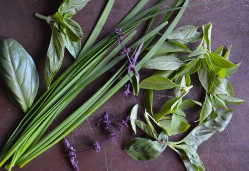 Basil-Tofu-Green-Goddess-herbs