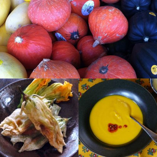 Pumpkin-squash-collage