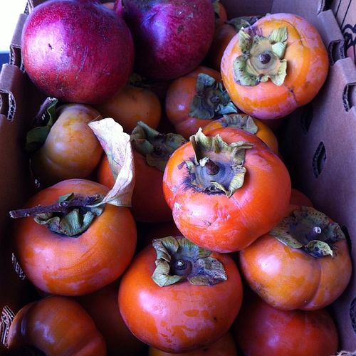 Persimmons