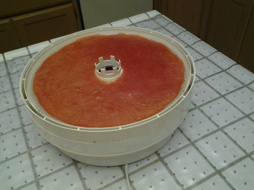 Persimmon-dehydrator