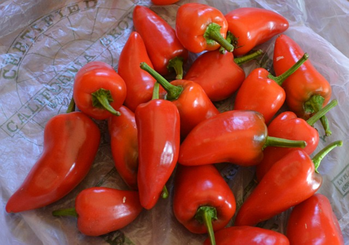 Locally grown Fresno chiles