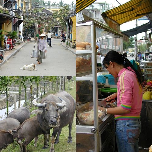 Viet-nam-travel-tips-sm