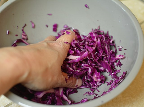 Red-cabbage-pepper-slaw-hand Red-cabbage-pepper-slaw-hand