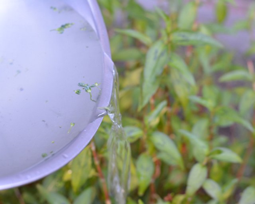 Water-saving-kitchen
