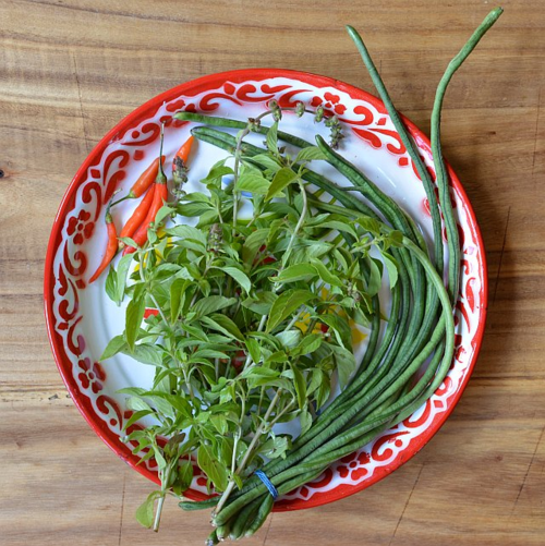 Chicken-lemon-basil-ingr