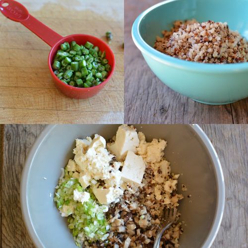 Tofu-quinoa-shu-mai-filling