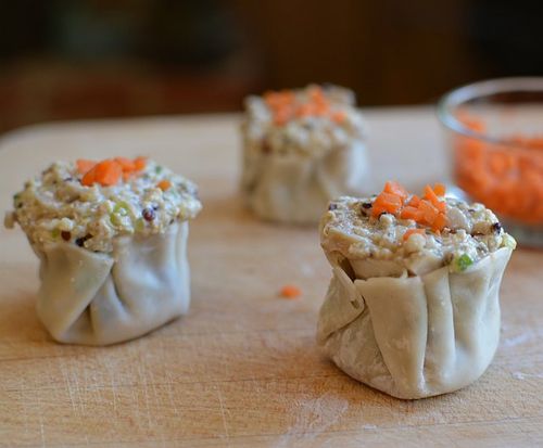 Tofu-quinoa-shu-mai-shaped