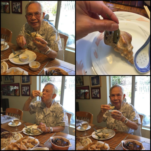 Bo-gia-periwinkle-demo