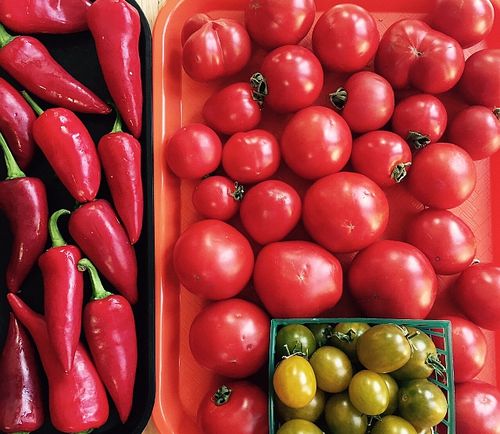 Tomato-pepper-smallish