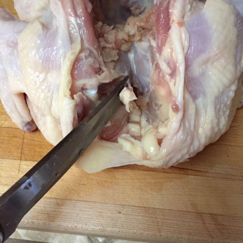 Spatchcock chicken 2 wishbone removal
