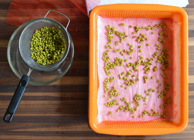 Mung-beans-in-strainer