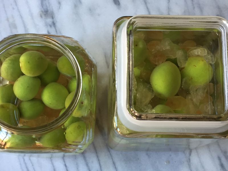 Plum-wine-top Plum-wine-top