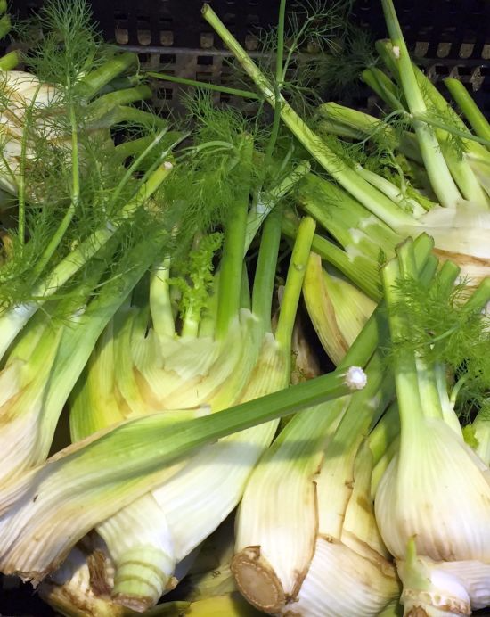 Fennel-danang