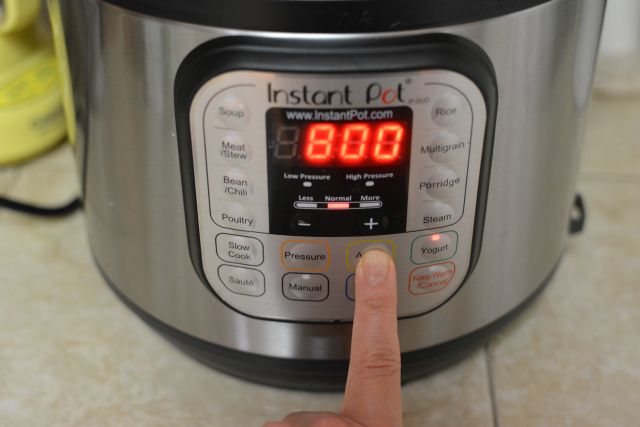 Instant-pot-yogurt-normal