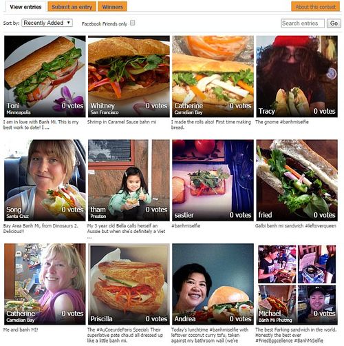 Self-entries-9-13 Self-entries-9-13