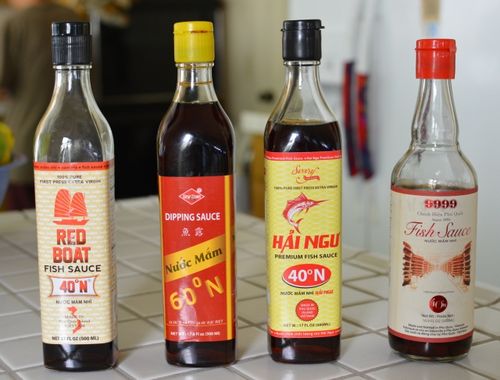 Fishsauce-tasting-linup Fishsauce-tasting-linup