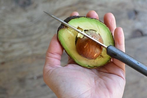 Avocado in hand pit