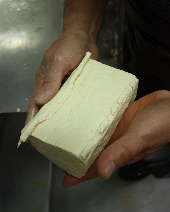 Tofu-Vietnamese-Little-Saigon Tofu-Vietnamese-Little-Saigon