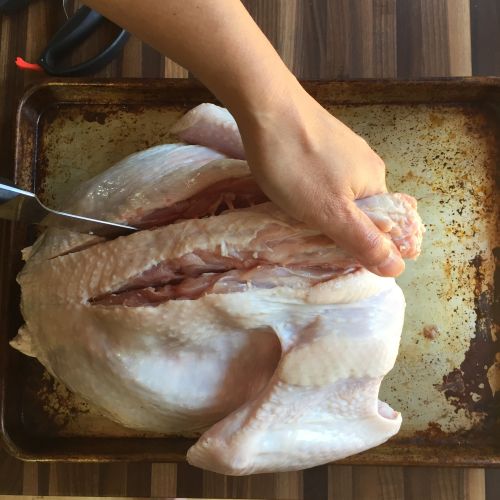 Spatchcocking--backbone-serrated-knife-at-work