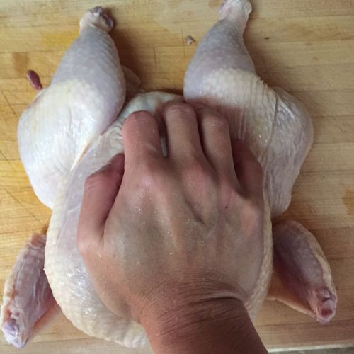 Spatchcock chicken 4 press