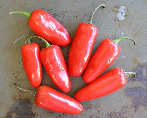 Chiles-jalapeno-Coke-2015