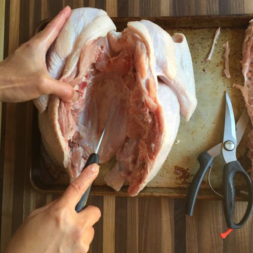Spatchcocking-scoring-keel-bone